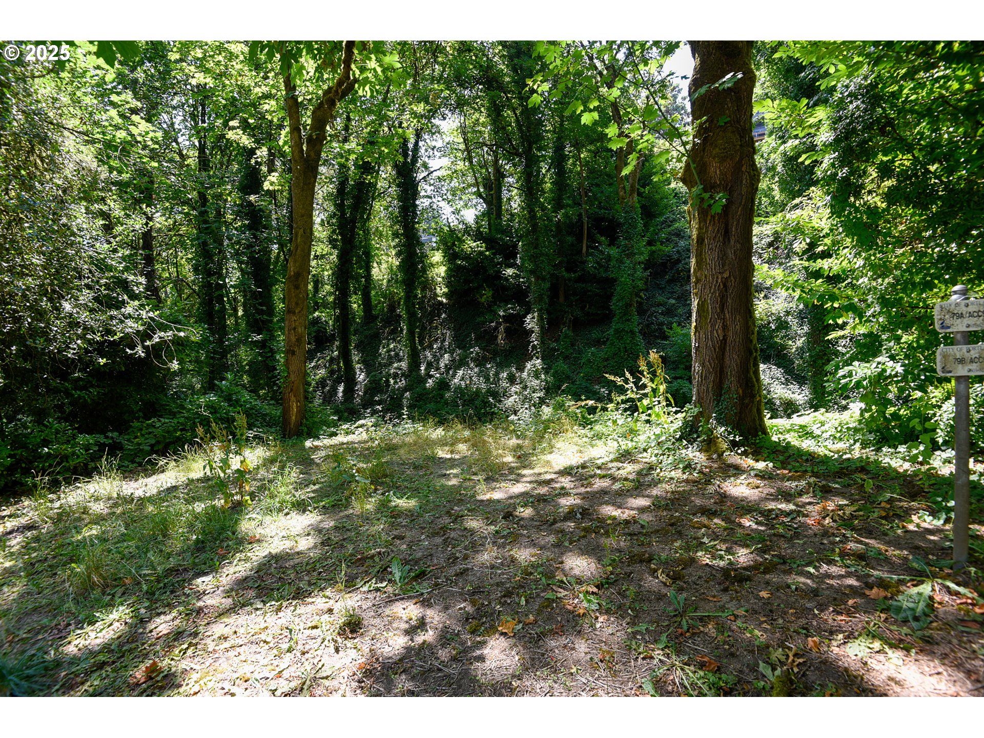 Southwest Condor Avenue Portland, OR 97239 - Photo 7 of 12