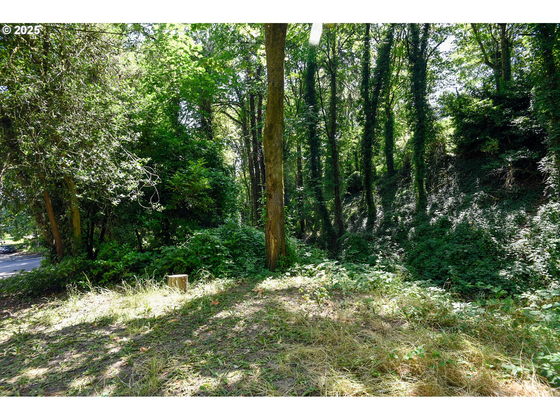 Southwest Condor Avenue Portland, OR 97239 - Photo 8 of 12