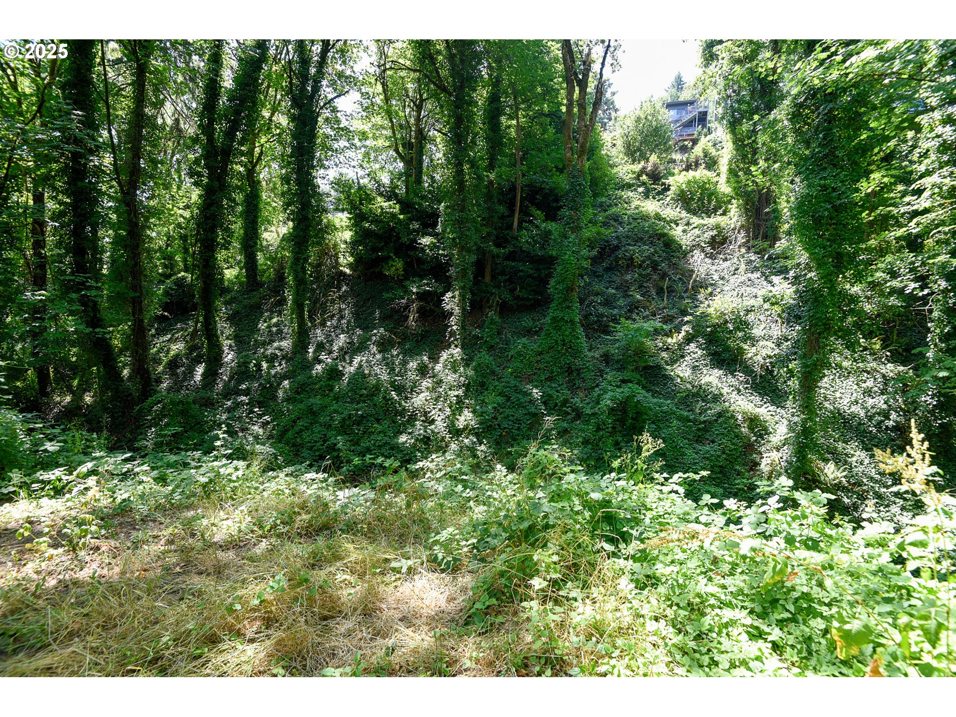 Southwest Condor Avenue Portland, OR 97239 - Photo 9 of 12