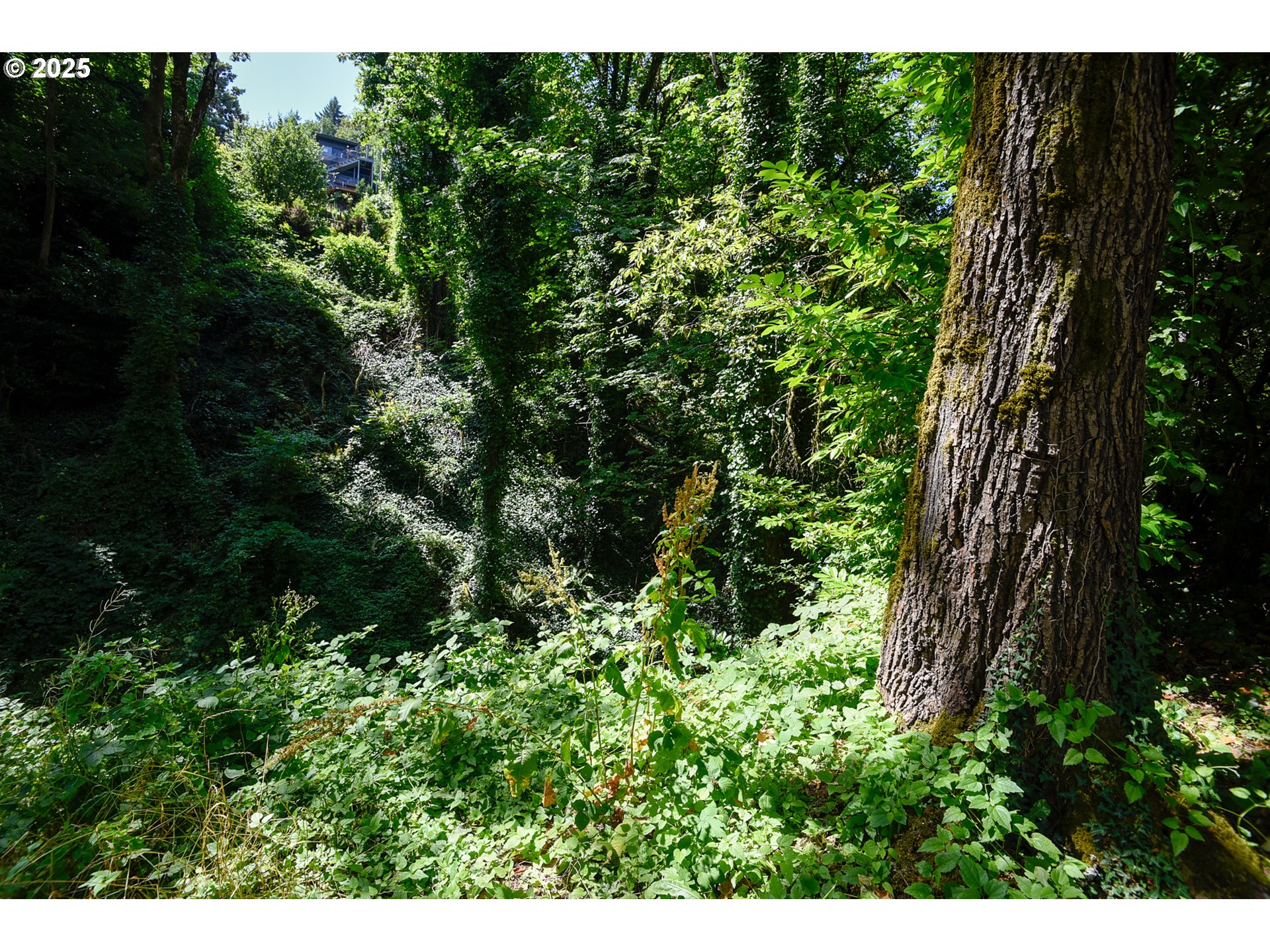 Southwest Condor Avenue Portland, OR 97239 - Photo 10 of 12