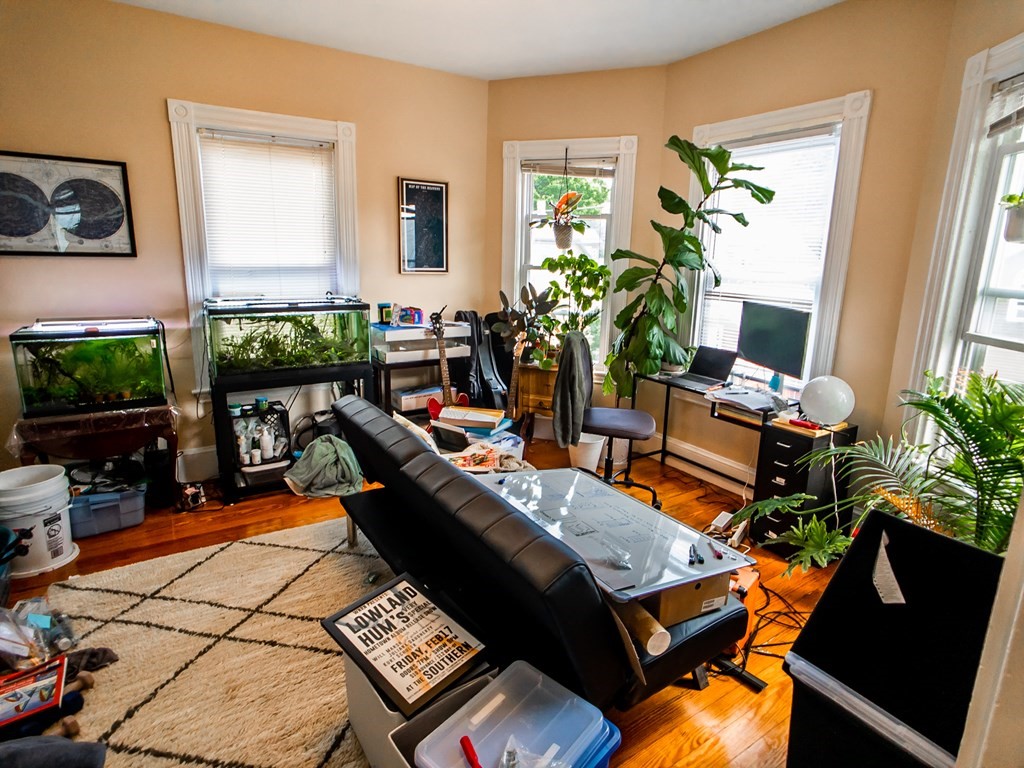 30 Spring Park Avenue, Unit 3 Boston, MA 02130 - Photo 3 of 12 a living room with patio furniture and a potted plant