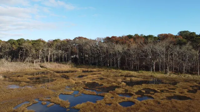 an aerial view of a house with a forest