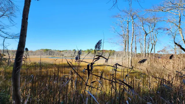 a view of a lake with a mountain in the background