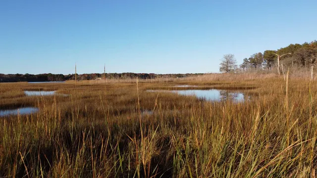 a view of an ocean and city