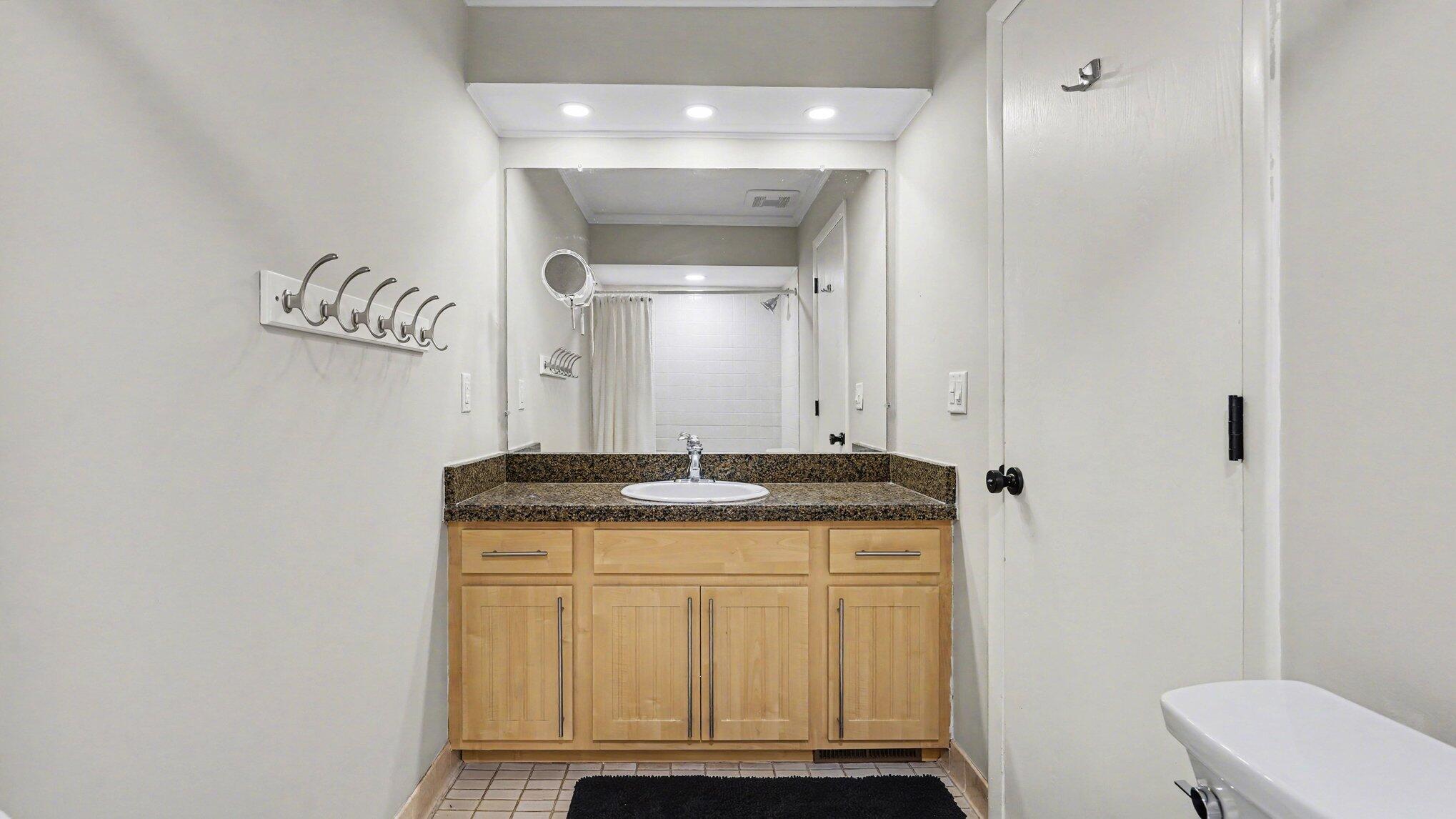 2176 Overlook Court Ann Arbor, MI 48103 - Photo 18 of 28 018_file_3705