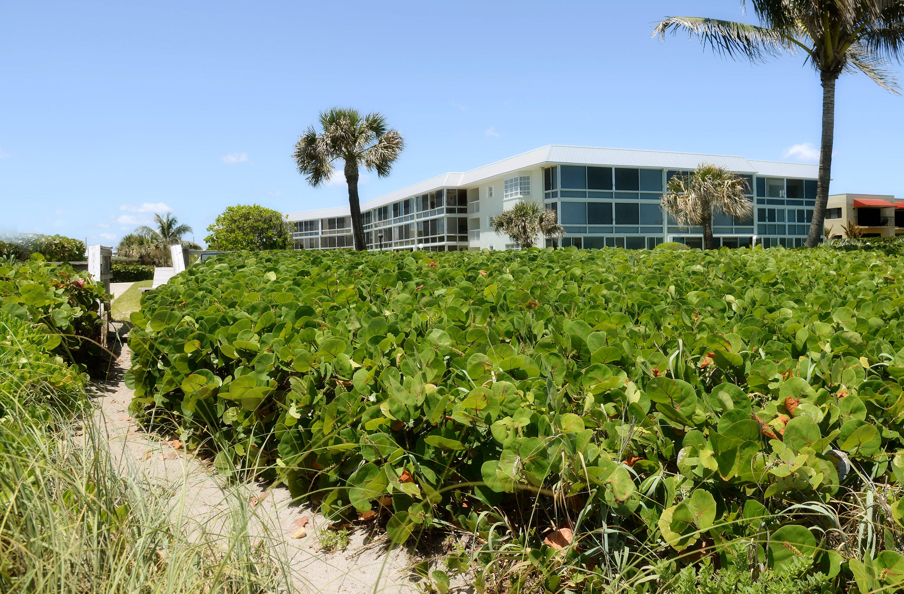 120 Celestial Way, Unit 202 Juno Beach, FL 33408 - Photo 19 of 22 Barclay 120 Celestial Way #109 beach vie