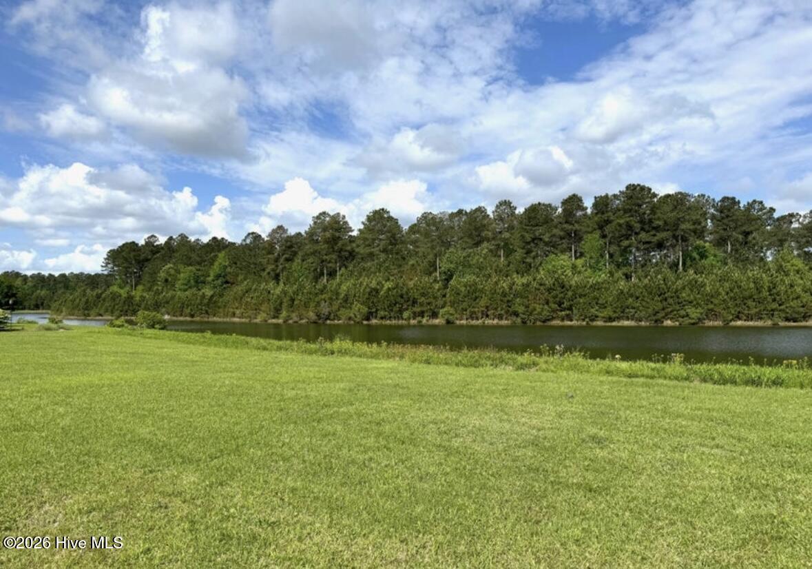 4042 Reunion Pointe Lane New Bern, NC 28562 - Photo 3 of 6 IMG_4279