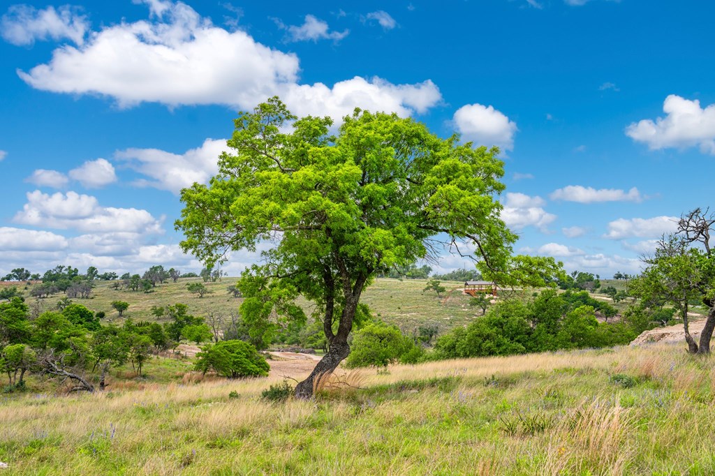 Lot 48 Badger Ridge Road, Unit 48 Fredericksburg, TX 78624 - Photo 11 of 16