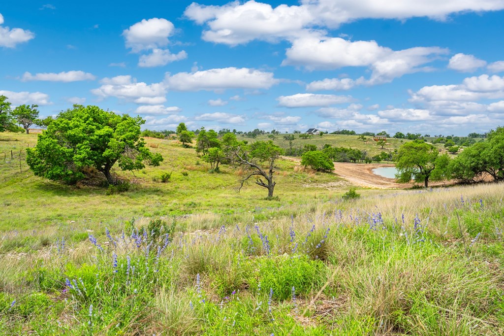 Lot 48 Badger Ridge Road, Unit 48 Fredericksburg, TX 78624 - Photo 12 of 16