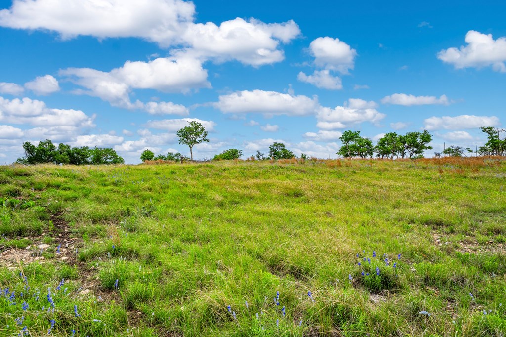 Lot 48 Badger Ridge Road, Unit 48 Fredericksburg, TX 78624 - Photo 13 of 16
