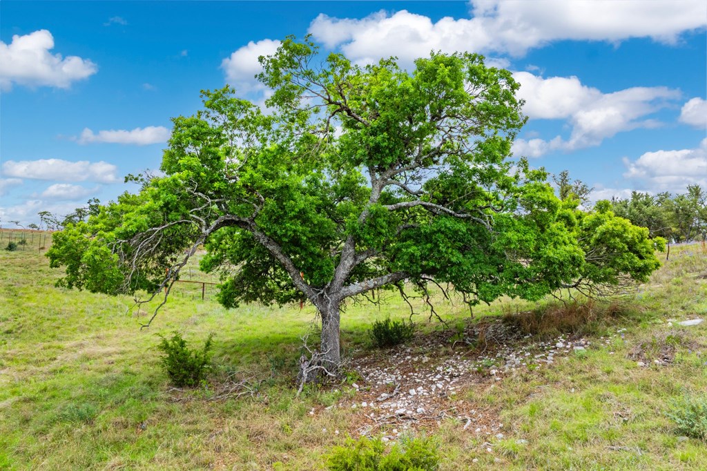 Lot 48 Badger Ridge Road, Unit 48 Fredericksburg, TX 78624 - Photo 14 of 16