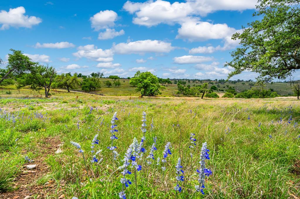 Lot 48 Badger Ridge Road, Unit 48 Fredericksburg, TX 78624 - Photo 2 of 16