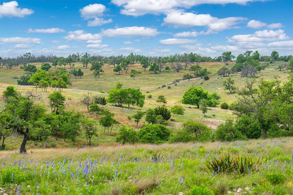 Lot 48 Badger Ridge Road, Unit 48 Fredericksburg, TX 78624 - Photo 4 of 16