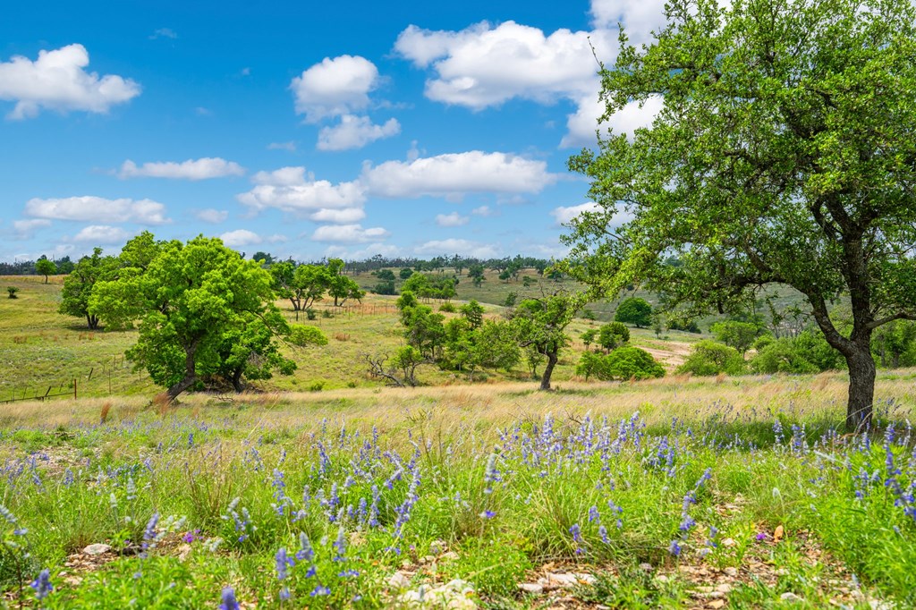 Lot 48 Badger Ridge Road, Unit 48 Fredericksburg, TX 78624 - Photo 5 of 16