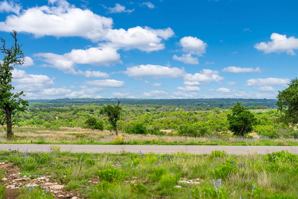 Lot 48 Badger Ridge Road, Unit 48 Fredericksburg, TX 78624 - Photo 7 of 16