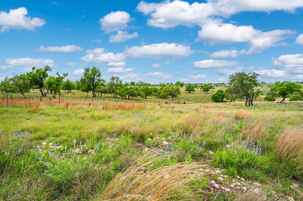 Lot 48 Badger Ridge Road, Unit 48 Fredericksburg, TX 78624 - Photo 8 of 16