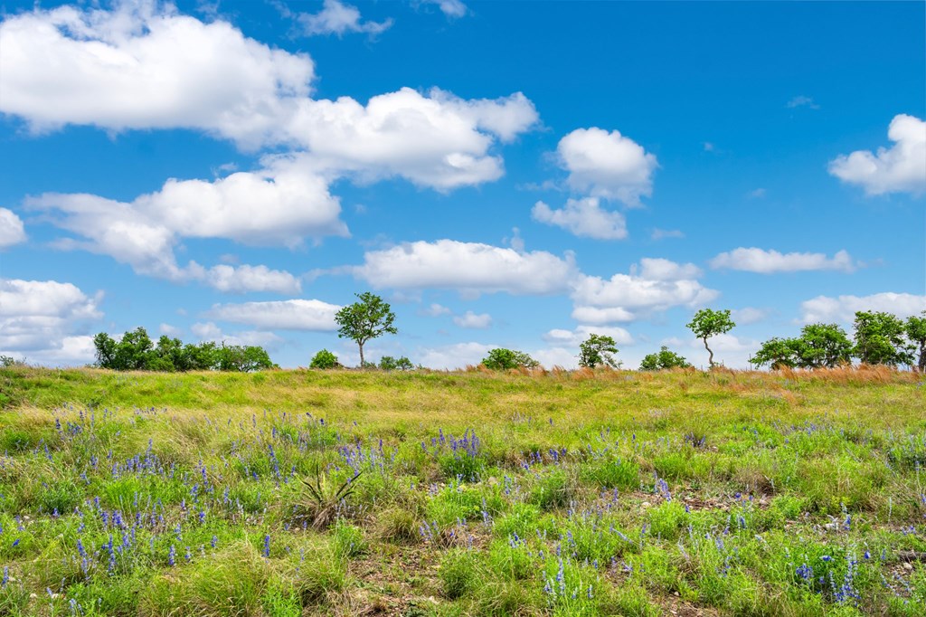 Lot 48 Badger Ridge Road, Unit 48 Fredericksburg, TX 78624 - Photo 9 of 16