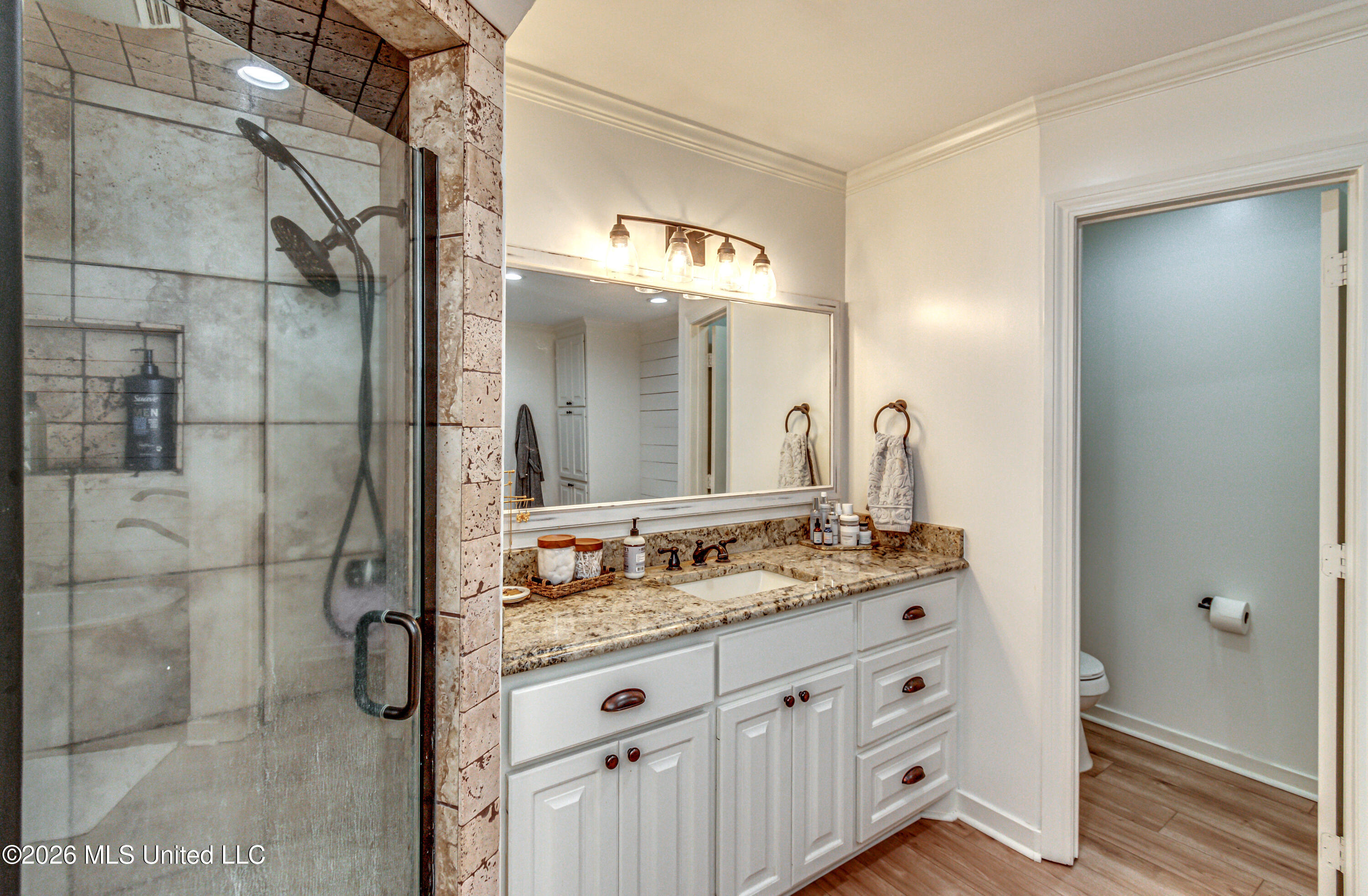 12 Eagles Point Brandon, MS 39047 - Photo 32 of 72 12 Eagles Point-57