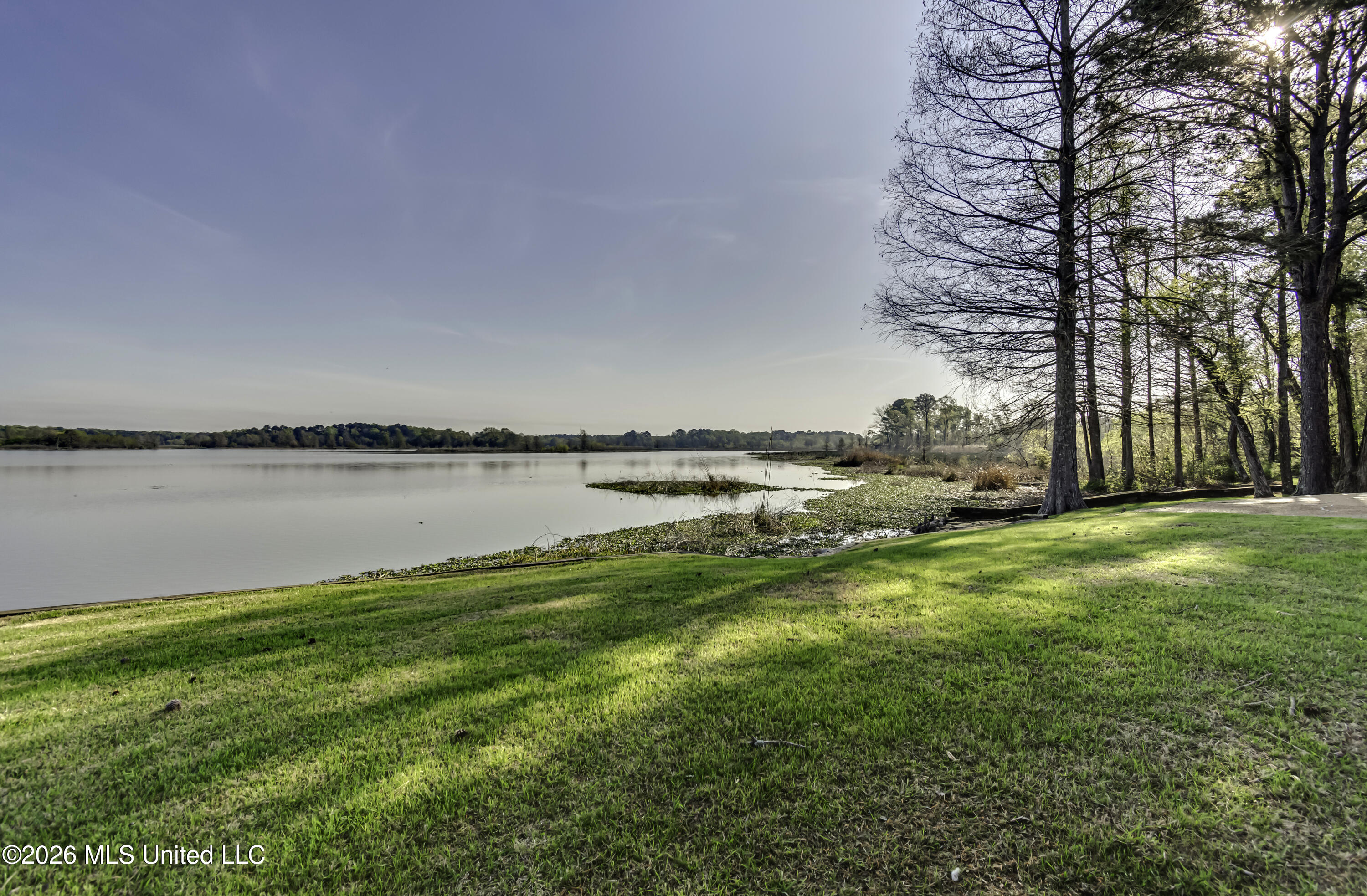 12 Eagles Point Brandon, MS 39047 - Photo 69 of 72 Backyard--17