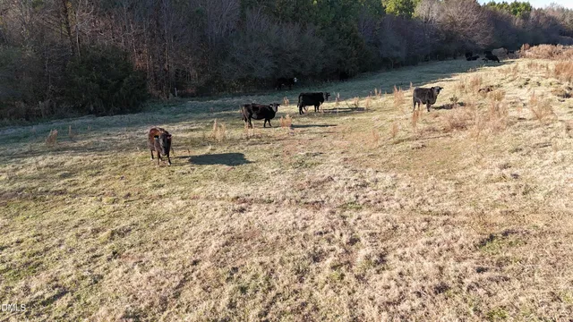 a view of a lake with mountain in the background