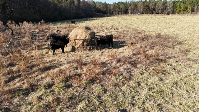 a view of ocean view with beach