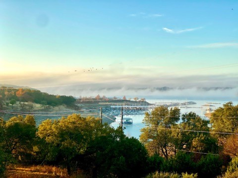 a view of a lake with a city