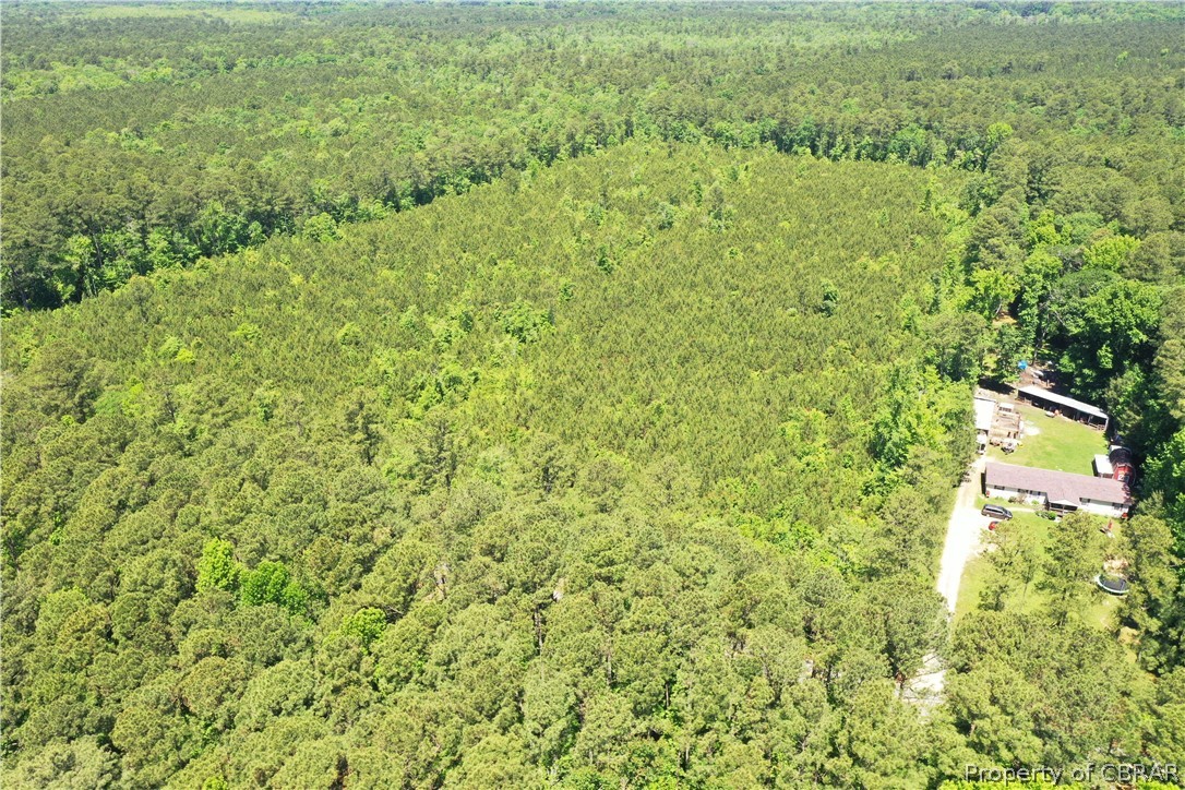 16-ac Ridge Road Cobbs Creek, VA 23035 - Photo 37 of 43 View of bird's eye view