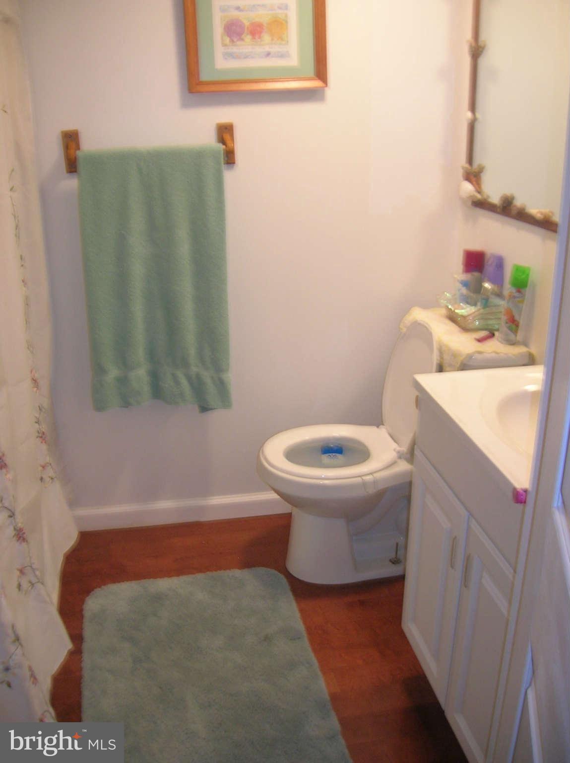 7521 Durwood Road Baltimore, MD 21222 - Photo 3 of 3 Bath