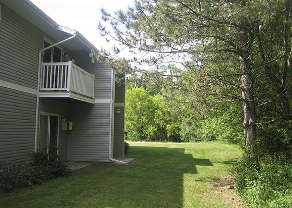 375 North Street Yale, MI 48097 - Photo 3 of 12