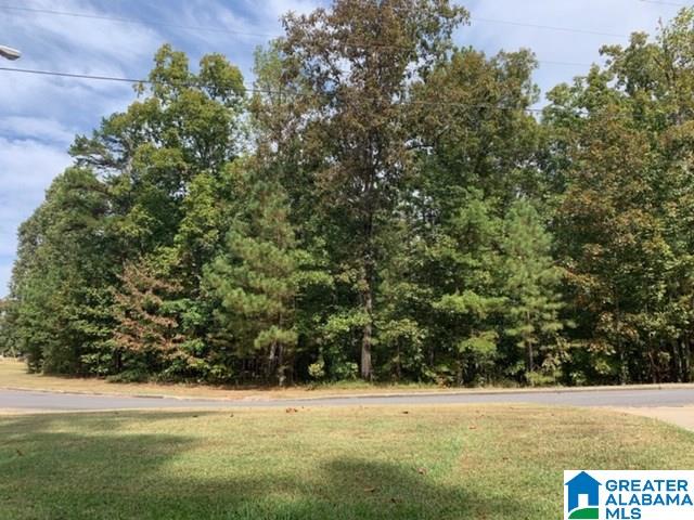 0 Hickory Ridge Road, Unit 40 Ragland, AL 35131 - Photo 2 of 7