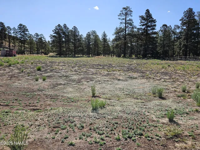 a view of a field with trees in the background