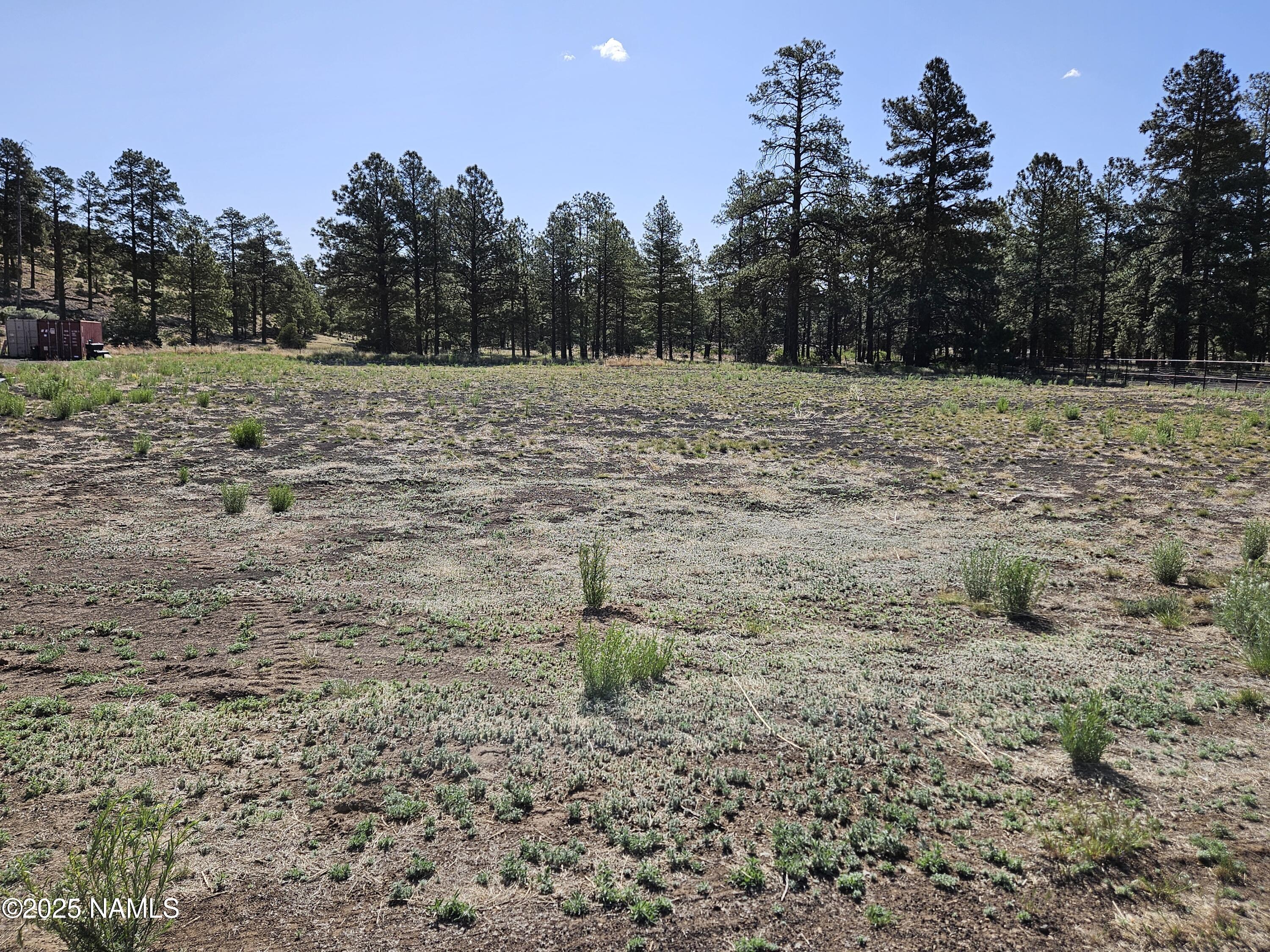 a view of a field with trees in the background