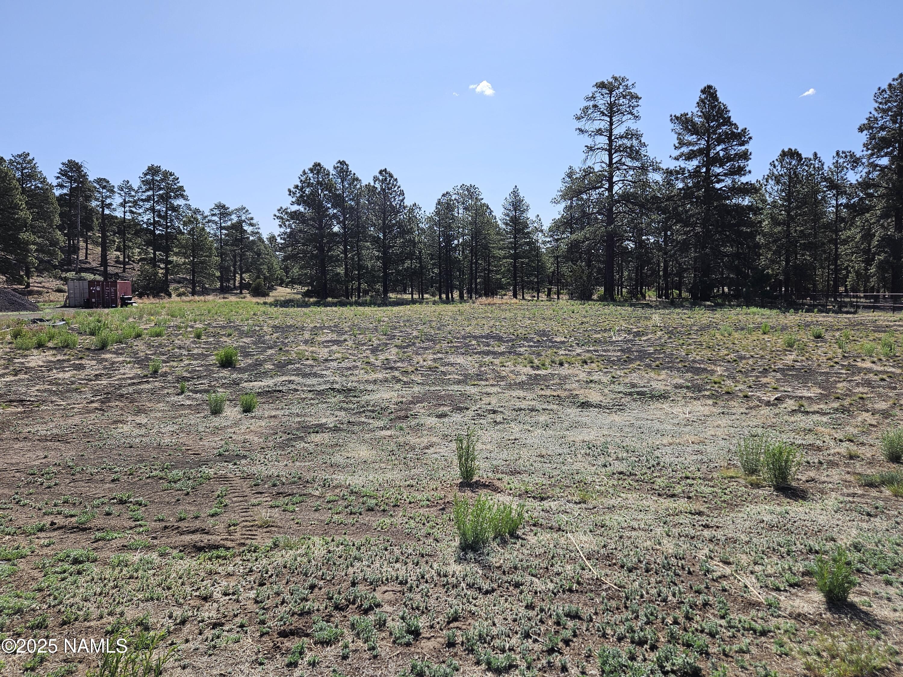 6668 Johnson Ranch Road Flagstaff, AZ 86004 - Photo 2 of 5 a view of a yard