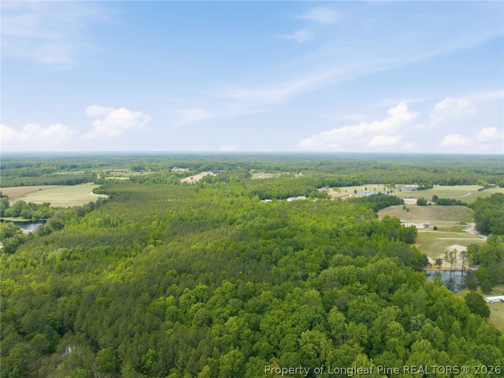 1098 Cedar Lane Road Sanford, NC 27332 - Photo 10 of 12