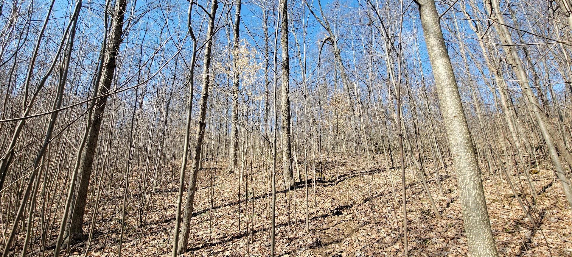 Tedrow Rd Shoals Shoals, IN 47581 - Photo 3 of 9