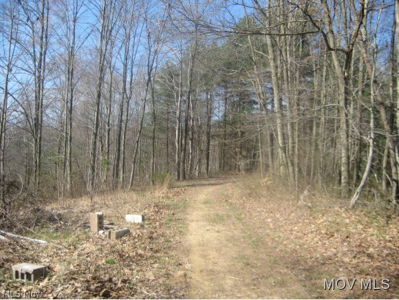 9365 Hebron Road St. Marys, WV 26170 - Photo 11 of 15 Trails