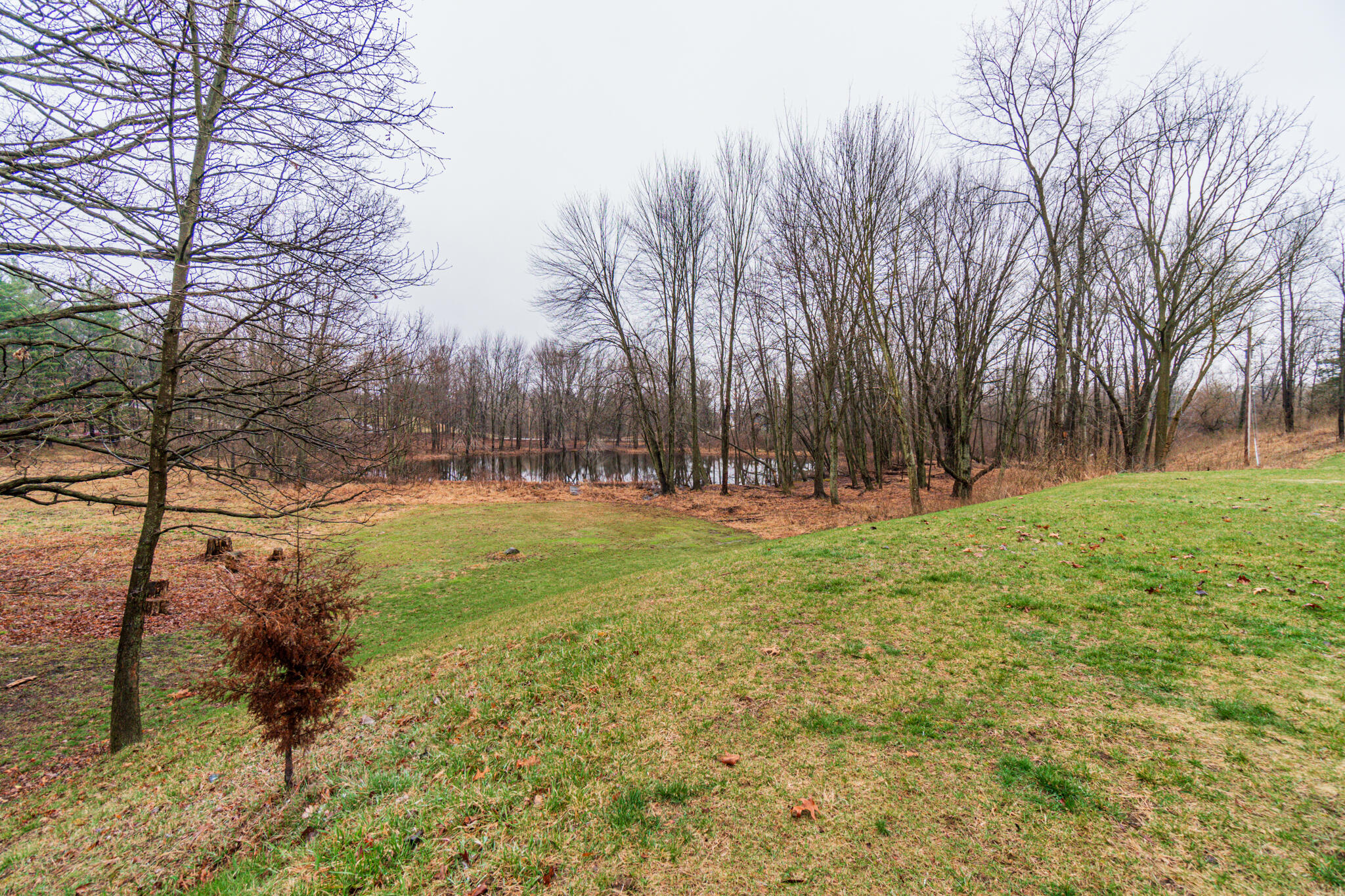 7270 Hashley Road Manchester, MI 48158 - Photo 46 of 62 Hashley-51