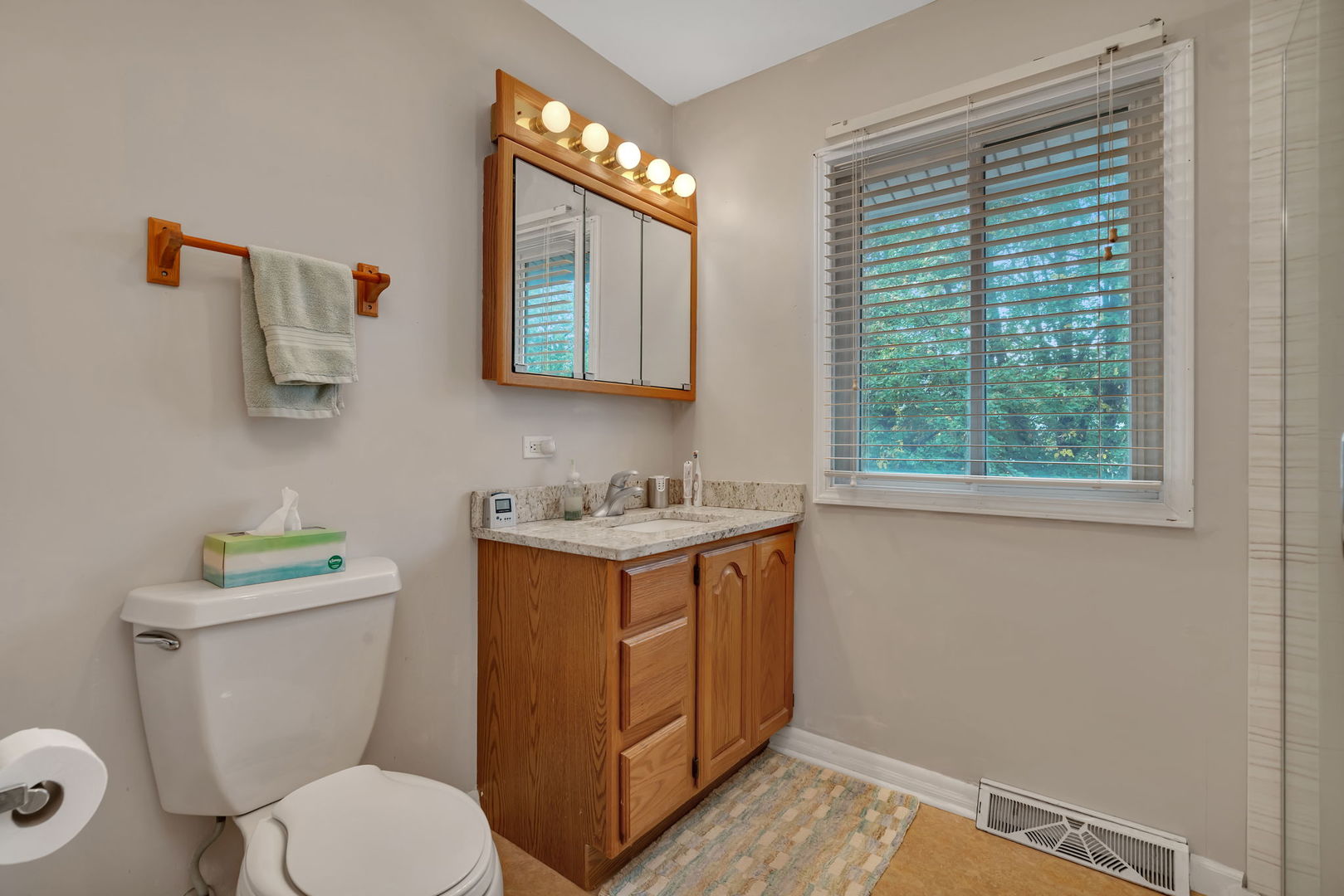 522 Julie Road Bolingbrook, IL 60440 - Photo 18 of 28 a bathroom with a granite countertop toilet a sink and a window