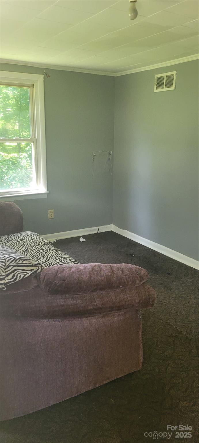 335 Rosenwald School Street Catawba, NC 28609 - Photo 8 of 13 a room with a window