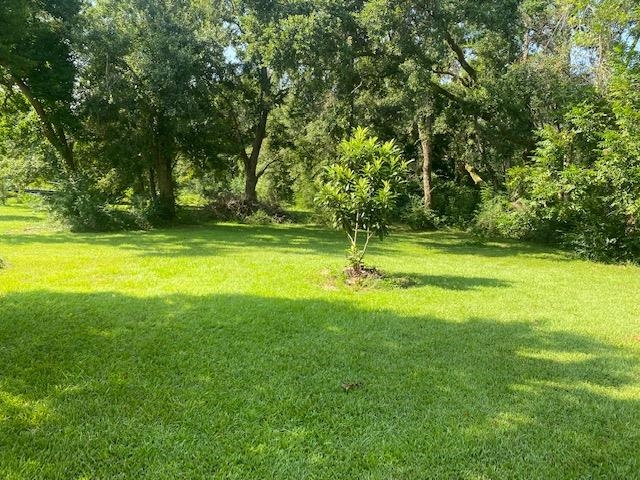 7543 Martin Lane Fairhope, AL 36532 - Photo 21 of 22
