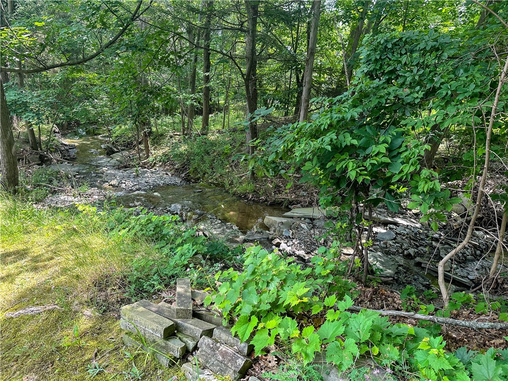 3265 Reading Road Reading, NY 14891 - Photo 6 of 33 creek