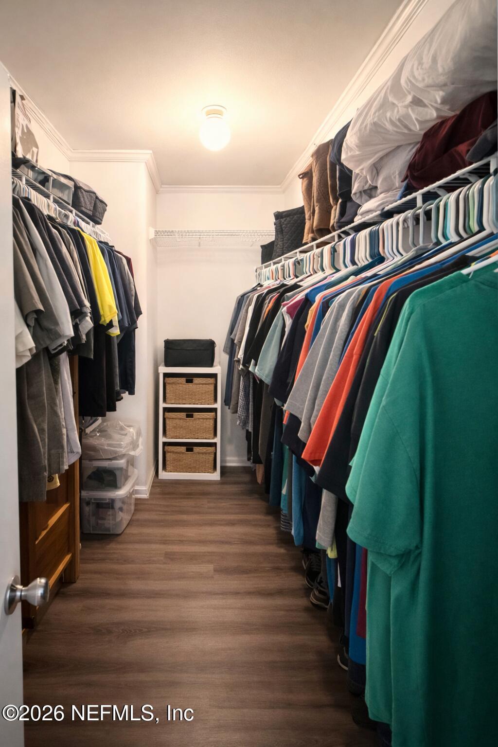 2490 Violet Way Middleburg, FL 32068 - Photo 20 of 64 a view of walk in closet with clothes and shoes