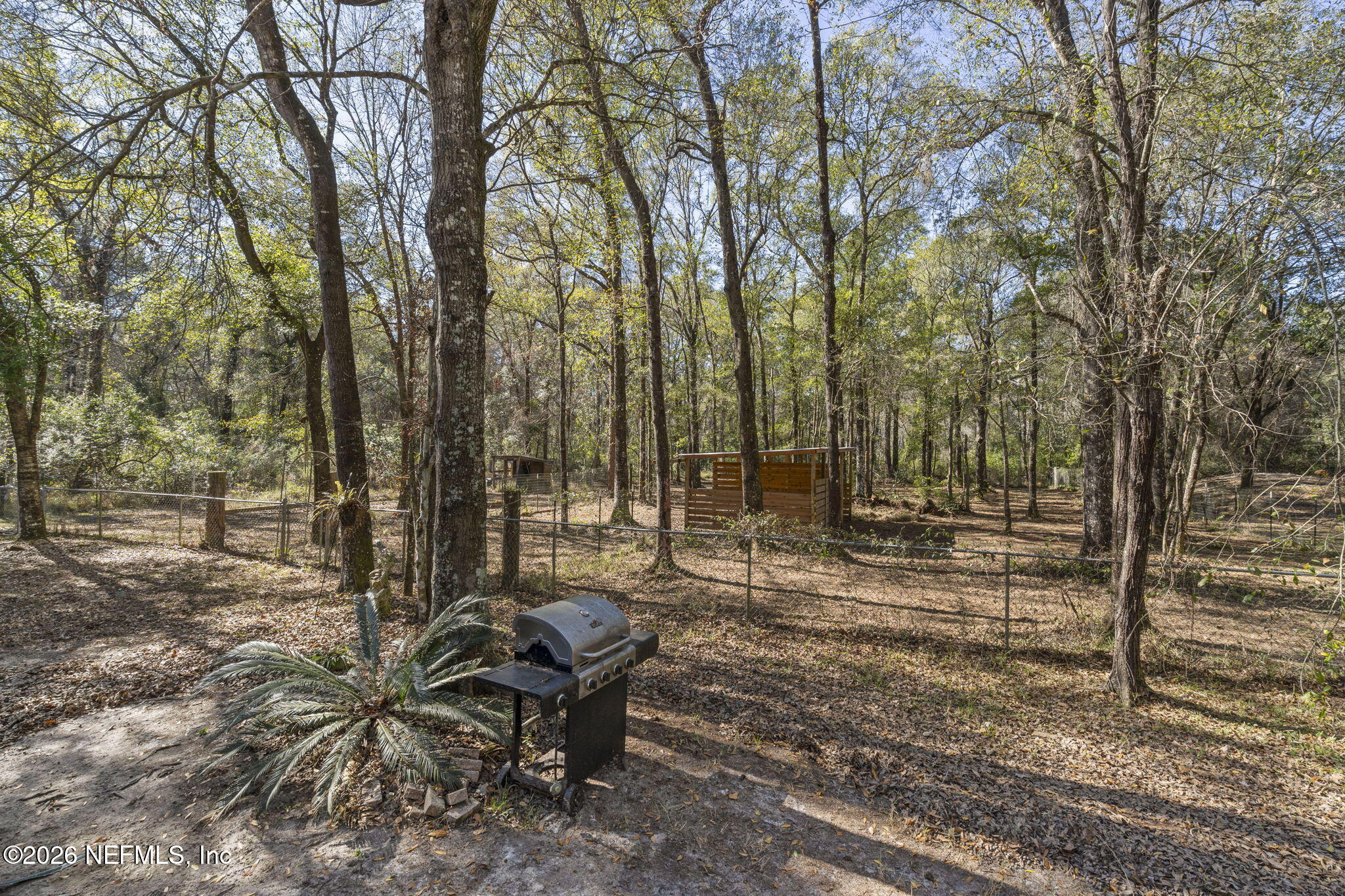 2490 Violet Way Middleburg, FL 32068 - Photo 39 of 50 25-web-or-mls-DSC03560