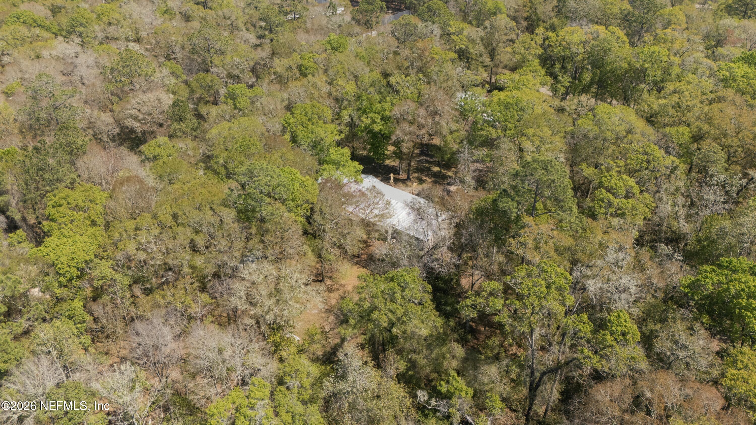 2490 Violet Way Middleburg, FL 32068 - Photo 55 of 64 a view of a covered with large trees