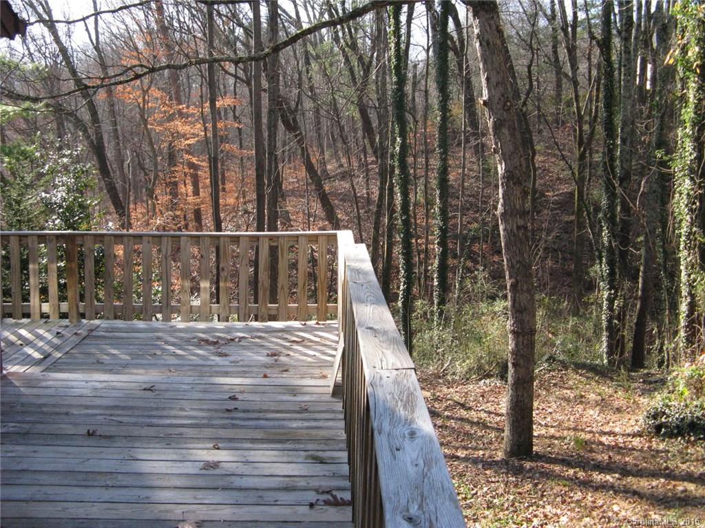 595 Vineyard Road Tryon, NC 28782 - Photo 5 of 6