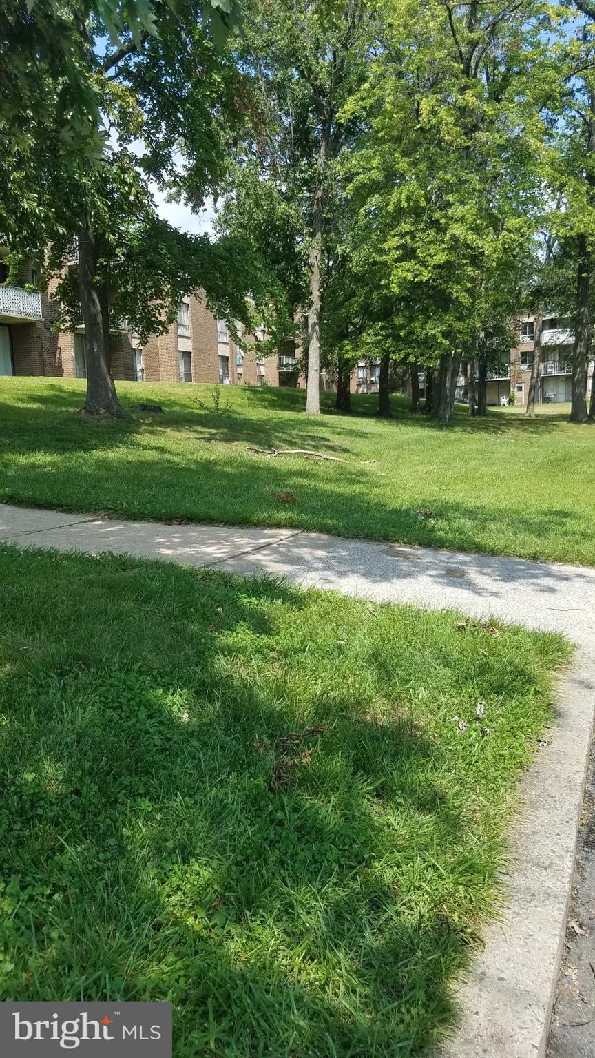 7973 Riggs Road, Unit 8 Hyattsville, MD 20783 - Photo 19 of 19