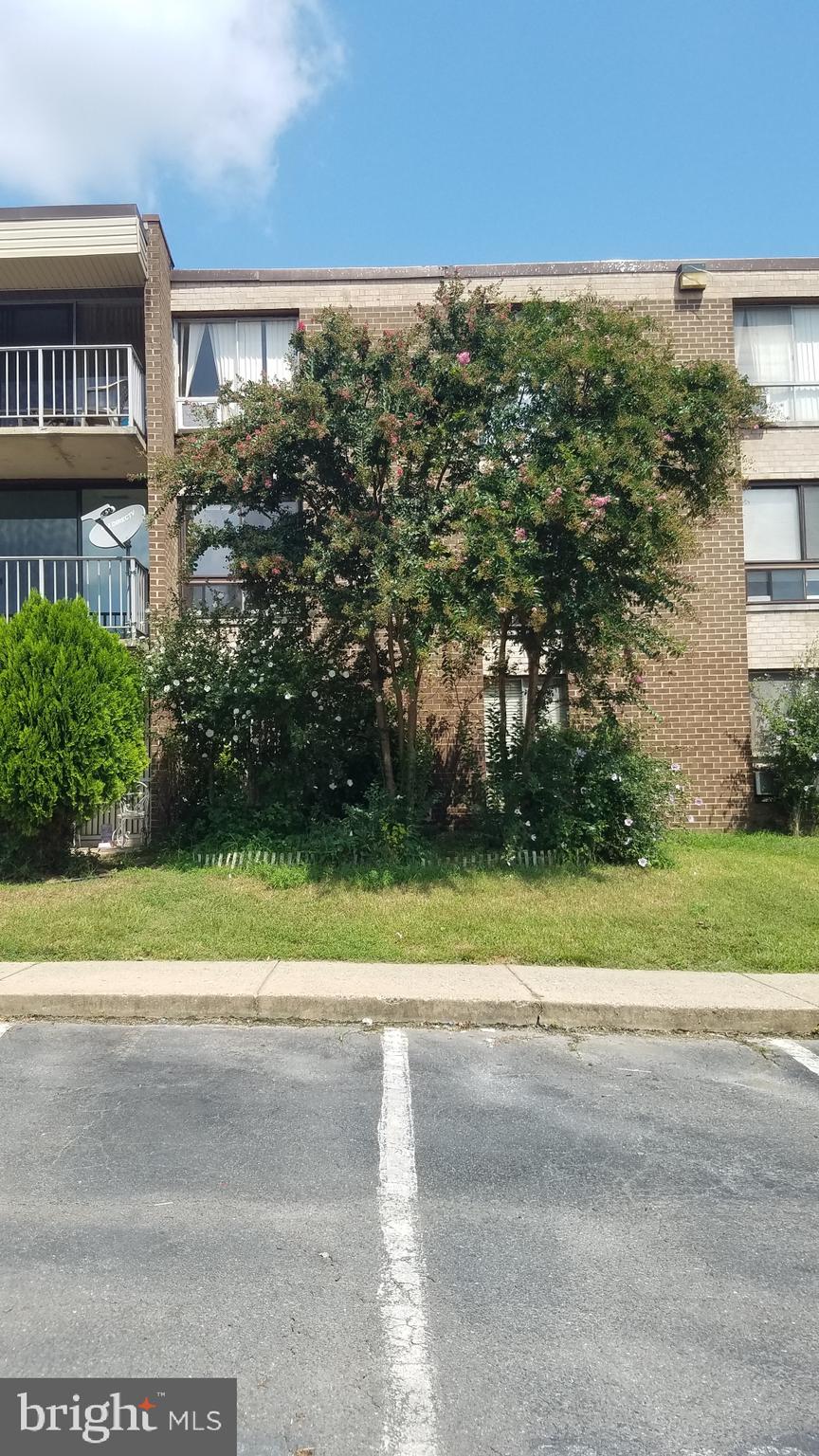 7973 Riggs Road, Unit 8 Hyattsville, MD 20783 - Photo 3 of 19