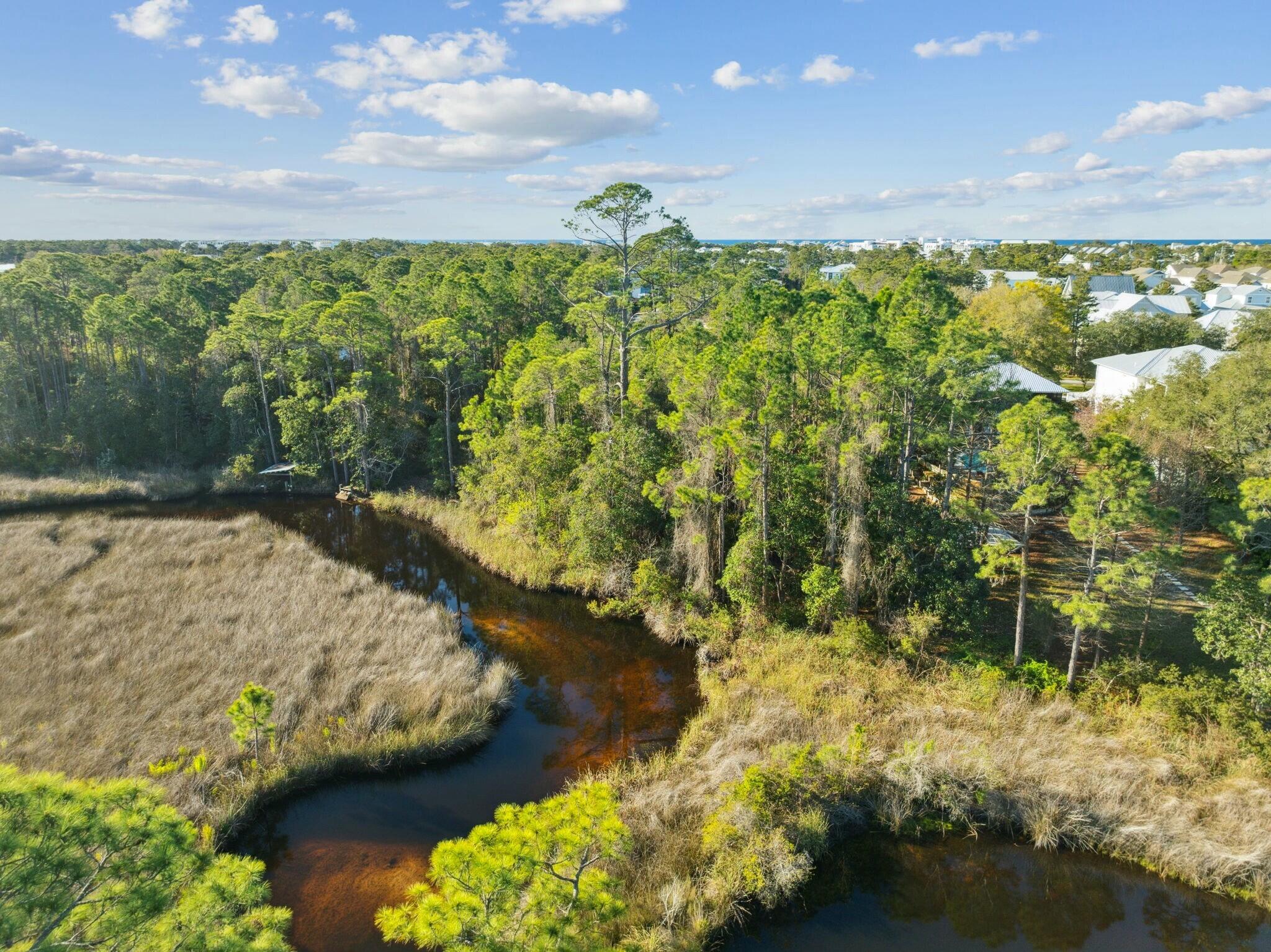 Lot 5 West Shore Dr Inlet Beach Inlet Beach, FL 32461 - Photo 15 of 32 a view of a lake