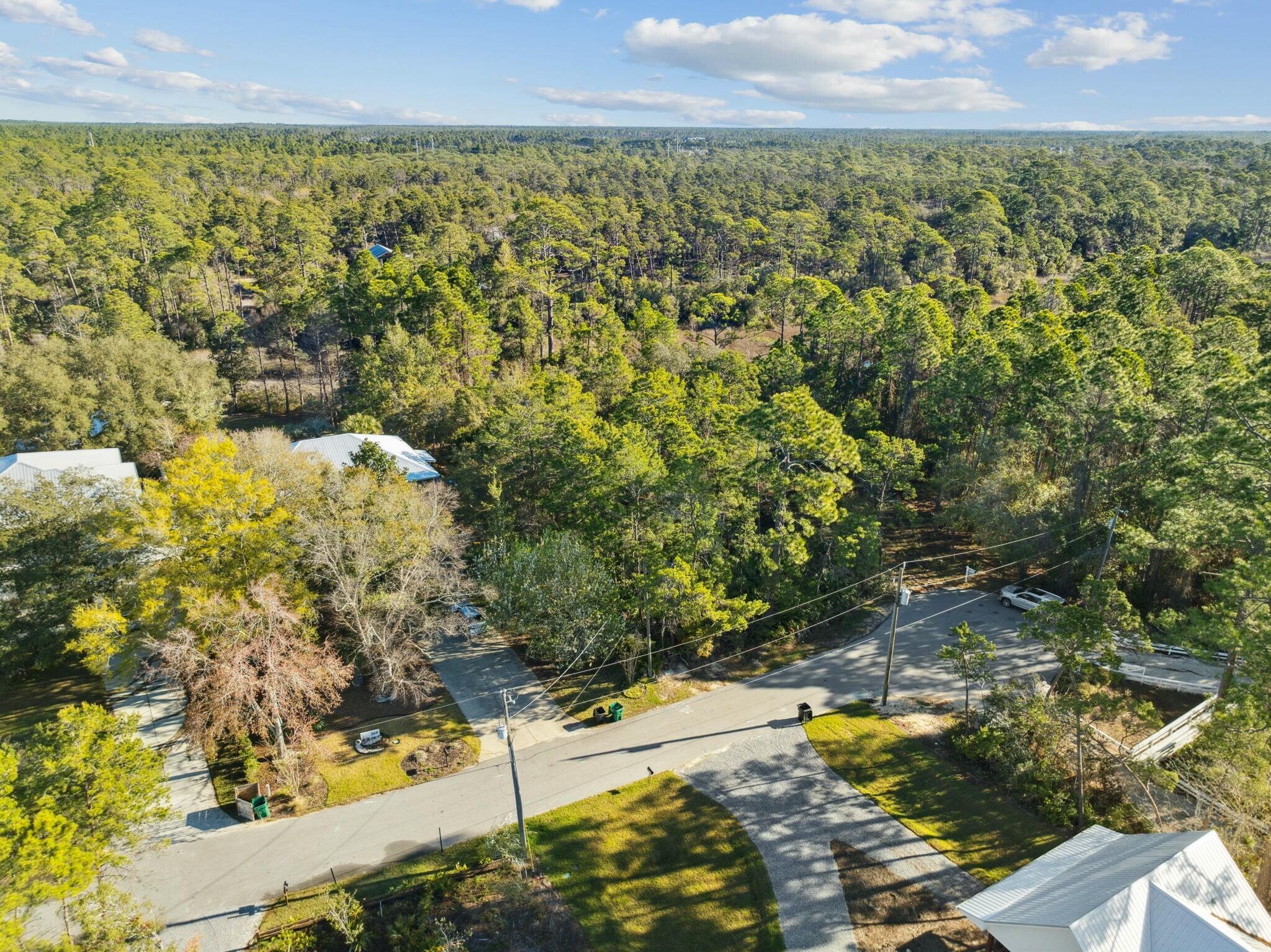 Lot 5 West Shore Dr Inlet Beach Inlet Beach, FL 32461 - Photo 16 of 32 a view of a yard