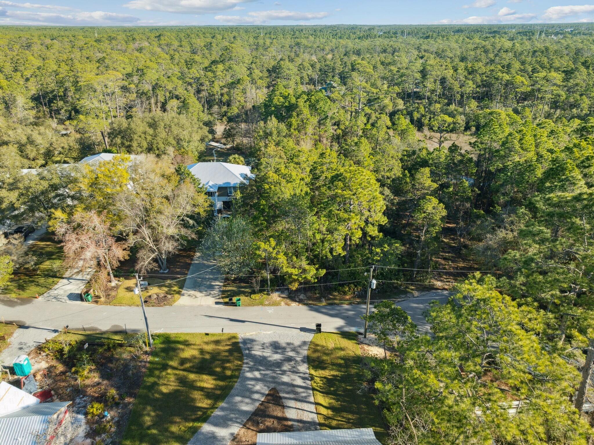 Lot 5 West Shore Dr Inlet Beach Inlet Beach, FL 32461 - Photo 17 of 32 a view of a yard with plants and large trees